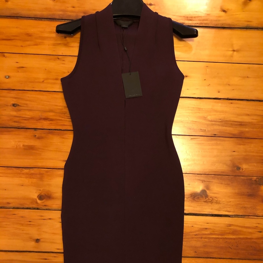 Alexander Wang Dark Berry Body Con Dress -Sz S NWT